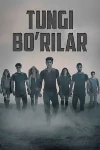 Tungi Bo'rilar / Yosh bo'rilar posteri