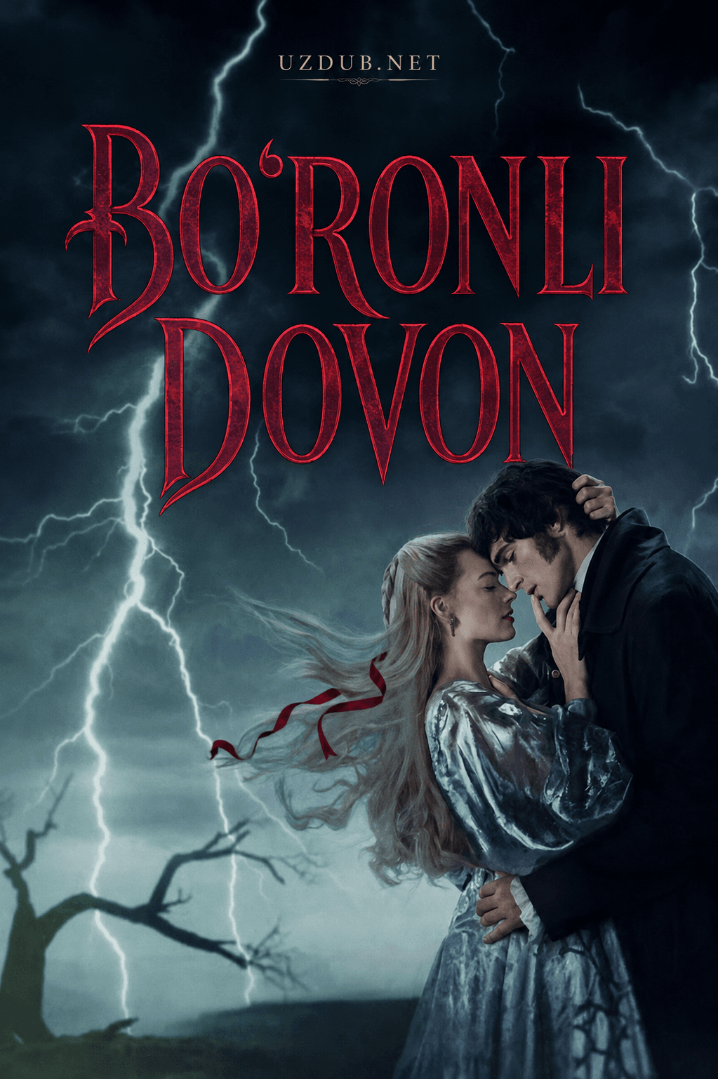 Bo'ronli dovon posteri
