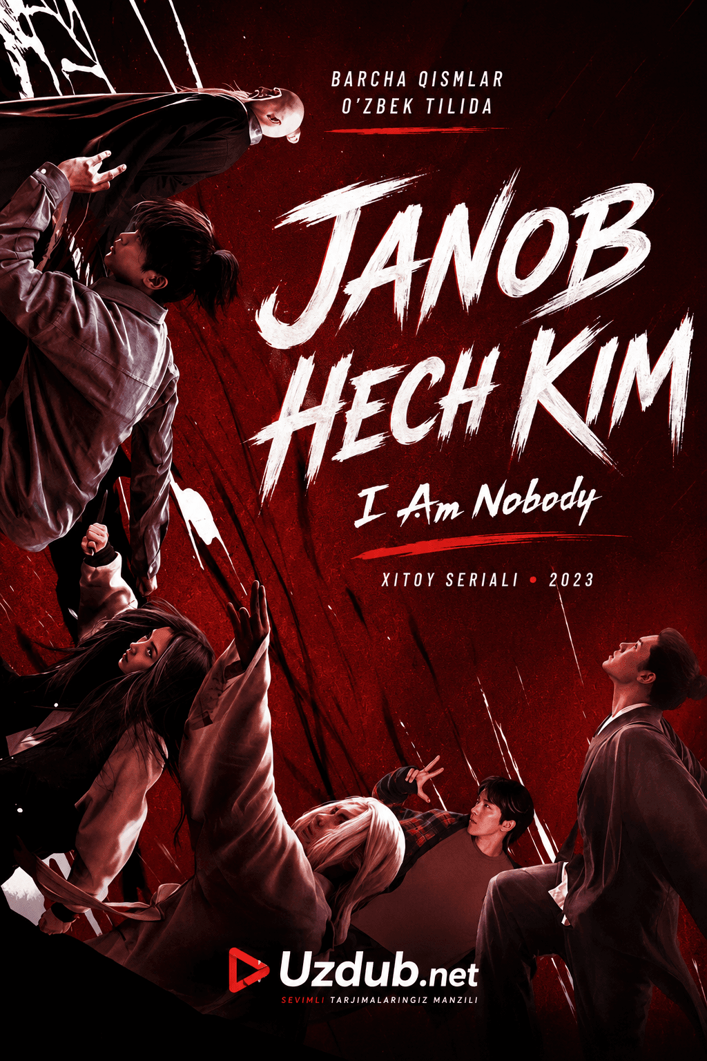 Janob hech kim seriali posteri