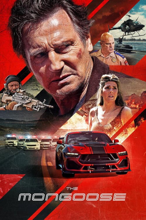 Mangust posteri